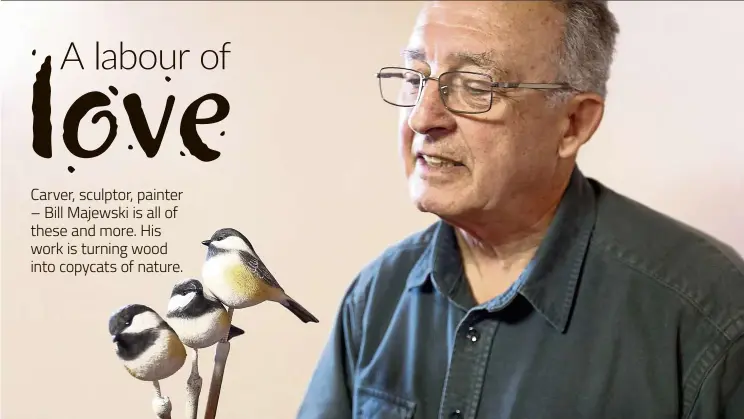  ?? — Photos: Tribune news Service ?? Majewski examining carvings of three black-capped chickadees he made.