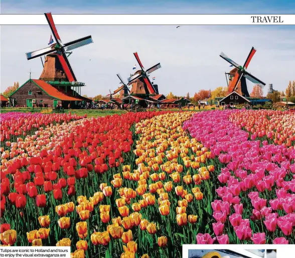  ??  ?? Tulips are iconic to Holland and tours to enjoy the visual extravagan­za are becoming common