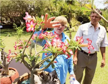  ??  ?? Florist Mrs Moras Flight (left) shows Mr Hans Wolbert rare plant species during the Rare Plants Spring Show Festival organised by the Aloe, Cactus and Succulent Society of Zimbabwe in Harare yesterday. — Picture: Tawanda Mudimu