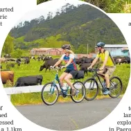  ??  ?? The ride past dairy farms between Thames, Paeroa.