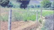  ?? HT PHOTO ?? Forest department has put up electric fences around three pieces of farmland in villages close to Sariska Tiger Reserve.