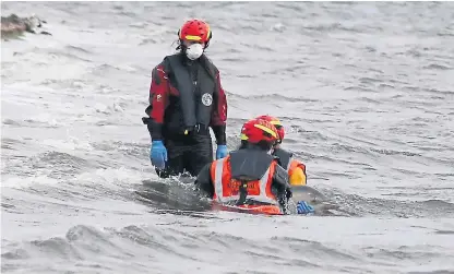  ?? Picture: Gareth Jennings. ?? Members of the rescue operation helping the stranded dolphins.
