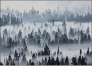  ?? The Associated Press ?? Smoke from a wildfire west of Sisters, Ore., blankets the Deschutes National Forest. This has been a record-breaking wildfire season for B.C. as well, with 160 fires burning as of Friday morning.