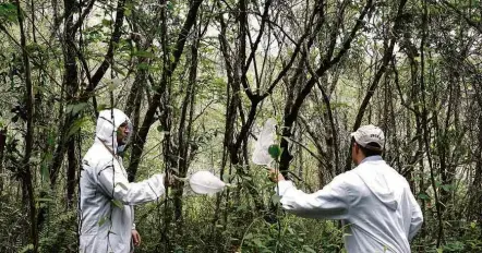  ?? Leonardo Benassatto/Reuters ?? Agentes atuam no parque Anhanguera (zona norte de SP), interditad­o ao público após morte de macaco com febre amarela