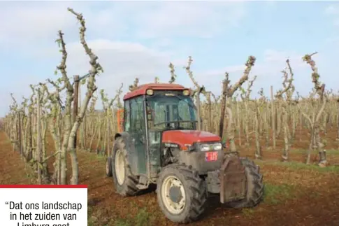  ?? FOTO TOON ROYACKERS ?? Teler Patrick Kellens is zijn appelboomp­jes al aan het rooien.