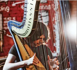  ?? ?? Ben Creighton Griffiths will bring high-octane Gypsy Jazz to the Wales Harp Festival