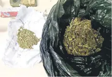  ??  ?? Policías detuvieron a un joven en las áreas verdes del CECyT 1 con una bolsa negra que contenía hierba verde con las caracterís­ticas de la marihuana.