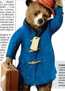  ??  ?? Il saluto L’orsetto creato nel 1958 da Michael Bond: nel primo episodio di A bear called Paddington racconta di essere arrivato dal «profondo Perù». In alto alcuni esemplari nei boschi