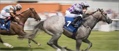  ??  ?? P.J. McDonald drives out Havana Grey to win the Group race, the Sapphire Stakes, at the Curragh on Sunday.