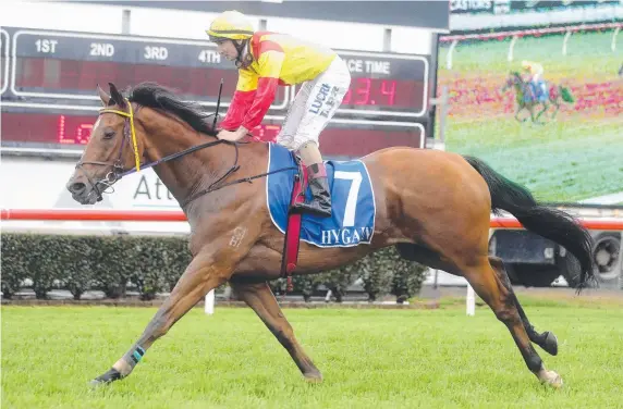  ?? Picture: RICHARD GOSLING ?? Rank outsider Moss Go Now, ridden by Luke Rolls, wins at the Gold Coast.