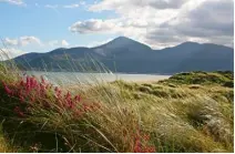  ??  ?? Murlough Dunes, Dundrum, County Down The flowery sand dunes are excellent for butterflie­s and Murlough is home to the Cryptic Wood White (not found on the British mainland) and the beautiful Marsh Fritillary.