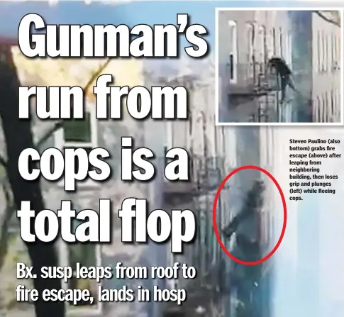  ??  ?? Steven Paulino (also bottom) grabs fire escape (above) after leaping from neighborin­g building, then loses grip and plunges (left) while fleeing cops.