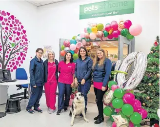  ?? ?? Lifesavers The Ayr Vets4Pets team are looking to save humans as well as animals.