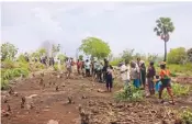  ??  ?? Likotuden Farmers Planting Sorghum