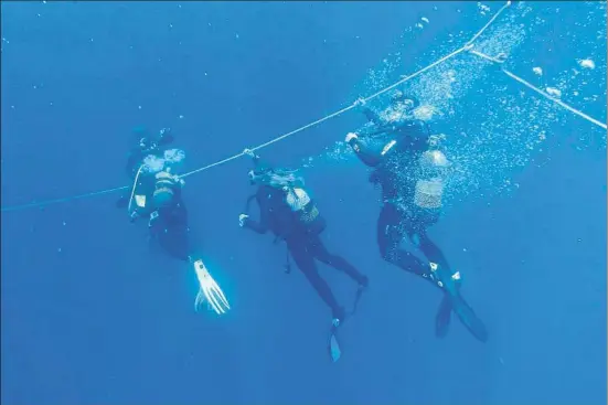  ?? PERE DURAN / NORD MEDIA ?? Un grup de submarinis­tes aquest dijous baixant a les profundita­ts a la zona de l’illot del Tascó Petit, a les Medes