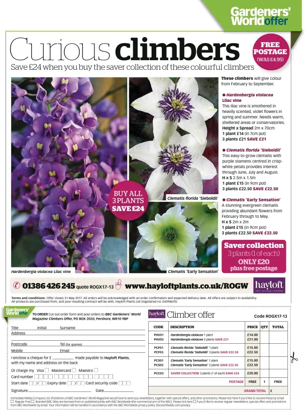  ??  ?? Hardenberg­ia violacea Lilac vine Clematis florida ‘Sieboldii’ Clematis ‘Early Sensation’