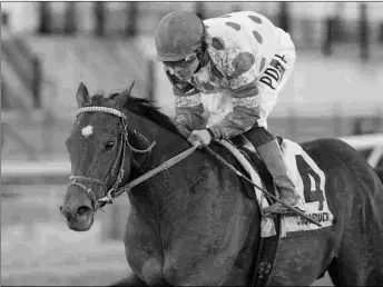  ?? BARBARA D. LIVINGSTON ?? Mind Control, shown winning the 2020 Tom Fool, has won four stakes in five starts at Aqueduct. He begins his 5-year-old season Saturday in the Grade 1 Carter.