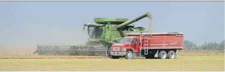  ?? BRYAN SCHLOSSER ?? Prices for lentils soared in 2014 after rains damaged the harvest. The rally encouraged farmers to increase planting and this year Canada will see lentil production rise to a record 3.2 million metric tonnes.