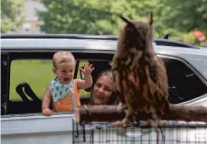  ?? JANE THERESE/SPECIAL TO THE MORNING CALL ?? Harry Ladley III, 14 months, and mom, Jessica, say hi to a European eagle-owl, Magoo, as dad (not pictured) drives the family through Macungie Memorial Park on Saturday for the drive-thru zoo fundraiser for Peaceable Kingdom Petting Zoo. The zoo featured Einstein the Snow Camel, Percy the Bucks County Camel, a yak, a wallaby, a giant tortoise and other exotic animals.