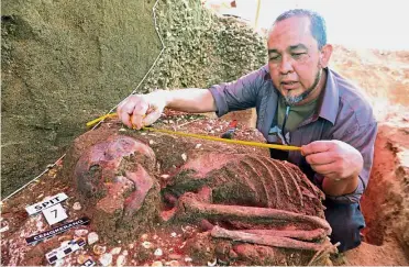  ??  ?? Looking into the past:
Dr Mokhtar measuring the skeletal remains at the excavation site where the human skeleton and artefacts dating back to the Neolithic period, over 5,000 years ago, were found in Guar Kepah. — MUSTAFA AHMAD / The Star
