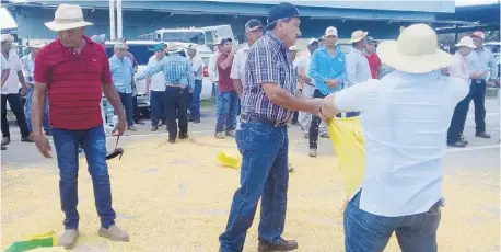  ?? Thays Domínguez ?? Fotos:
Varios sacos de maíz fueron regados en la vía. Durante la protesta no se dieron enfrentami­entos.