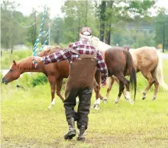  ??  ?? A man tries to corral escaped horses in the floodwater caused by Hurricane Florence in Lumberton, North Carolina. — Reuters photo