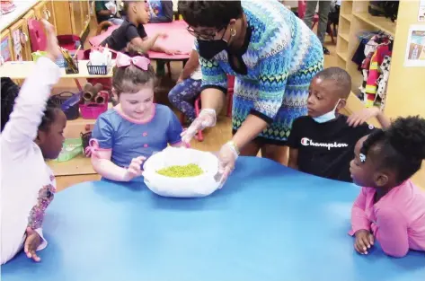  ?? (Special to The Commercial/University of Arkansas at Pine Bluff) ?? Assistant Professor Karleah Harris teaches pre-kindergart­en children at the University of Arkansas at Pine Bluff’s Child Developmen­t Center about how to grow mung beans through an inquiry-based learning curriculum.