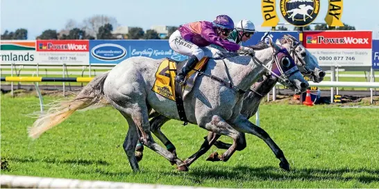  ?? PHOTO: SIMON O’CONNOR/STUFF ?? Yin Dragon (outside) and jockey Rosie Myers work hard to grab victory over Our King Sway in the battle of the greys at New Plymouth.