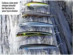  ??  ?? Colour, size and shape should be factors in your lure choice