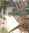  ?? DAVID WALLACE/THE REPUBLIC ?? A 50-year-old tree was knocked down at Paul Palmer’s home in Phoenix on July 31.