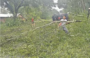  ?? BRIAN BROOM/ USA TODAY NETWORK ?? Salvador Hurtado of Silverhill, Ala., clears trees after Hurricane Sally came through. The storm made landfall Wednesday before dawn in Gulf Shores, Ala., about 30 miles from the Florida state line.