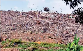  ??  ?? Waste collected in the Colombo Municipali­ty area still continues to be transporte­d to the Meethotamu­lla site despite public protests. Pic by Indika Handuwala