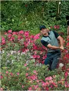  ??  ?? Rory McIlroy hits from azalea bushes during the 2014 Masters. A November staging of the event could provide an equally colourful backdrop.