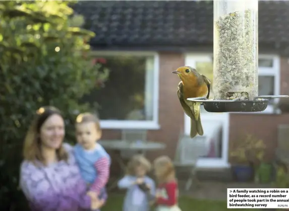  ?? RSPB/PA ?? A family watching a robin on a bird feeder, as a record number of people took part in the annual birdwatchi­ng survey