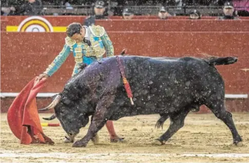  ?? MÍKEL PONCE ?? Antonio Ferrera se gusta en un muletazo con sabor, bajo un tremendo aguacero