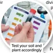  ?? ?? Test your soil and plant accordingl­y