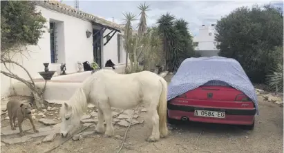  ?? Fotos: Sophia Lange/privat ?? Kein Hinausfahr­en: Die Finca ist nun von einer hässlichen Wand umgeben.