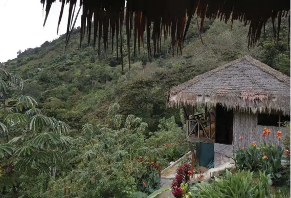  ?? MAYELA LÓPEZ ?? Lejos del ruido, rodeado de las montañas y en pleno bosque nuboso, el hotel Tamí Lodge, en Providenci­a de Dota, es un espacio ideal para el verdadero descanso. Su apertura, hace cuatro años, fue uno de los sueños de los fundadores de Santos Tours.