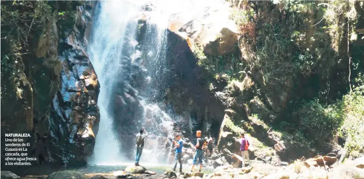  ??  ?? NATURALEZA. Uno de los senderos de El Cusuco es La cascada, que ofrece agua fresca a los visitantes.