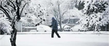  ?? WAYNE LEIDENFROS­T/ PNG ?? A skier takes advantage of the fresh snow that fell overnight Saturday. According to Environmen­t Canada, Abbotsford saw the most snowfall at 20 cm, while North and West Vancouver had 15 cm each at higher elevations.