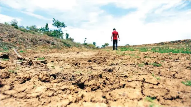  ?? PHOTO BY HONG MENEA ?? A rice field in Battambang dries up in the heat of a prolonged drought last year