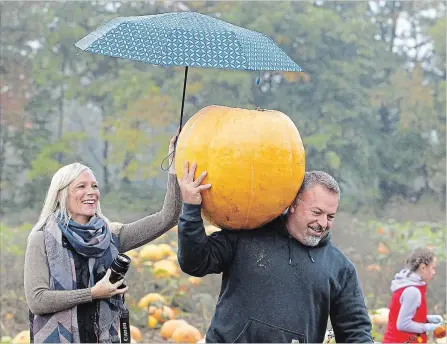  ?? CLIFFORD SKARSTEDT EXAMINER ?? Randy and Melissa Emery visit the Buckhorn Pumpkinfes­t held at McLean Berry Farm on Oct. 6.