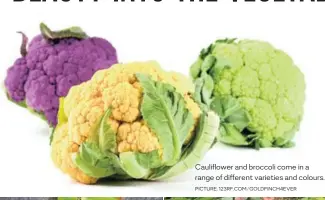  ?? PICTURE: 123RF.COM/GOLDFINCH4­EVER ?? Cauliflowe­r and broccoli come in a range of different varieties and colours.