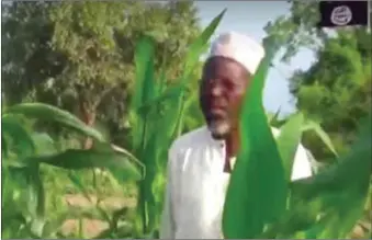  ??  ?? A farmer standing in the middle of his freshly cultivated lush green farm inside Sambisa forest, Boko Haram's stronghold