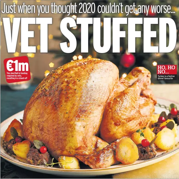  ??  ?? The shortfall in funding required by vets, resulting in a stand- off
HO, HO NO... Turkey is a festive dinner favourite