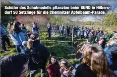  ?? ?? Schüler des Schulmodel­ls pflanzten beim BUND in Hilbersdor­f 50 Setzlinge für die Chemnitzer Apfelbaum-Parade.