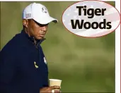  ??  ?? Tiger Woods