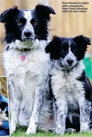  ??  ?? Firm friends: Freckles with young Holly. Inset: Anna Standing with the two collies