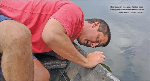  ?? DALE BOWMAN/SUN-TIMES ?? Kyle Gabehart eyes some floating freshwater jellyfish this month at the Coal City Area Club.