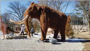 ?? SUBMITTED PHOTO ?? The Woolly Mammoth, ancestor to the Asian elephant, is a 15foot-tall scientific­ally accurate animatroni­c dinosaur currently taking up residence at the Philadelph­ia Zoo. The Woolly Mammoth was created by Don Lessem and his team at Dinodon, Inc. in Middletown.